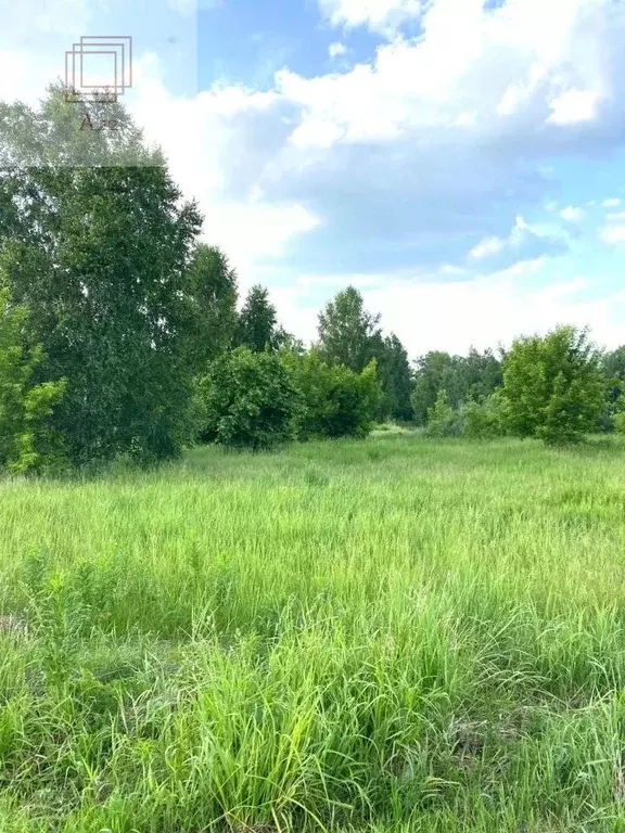 Участок в Алтайский край, Барнаул городской округ, пос. Бельмесево ул. ... - Фото 2