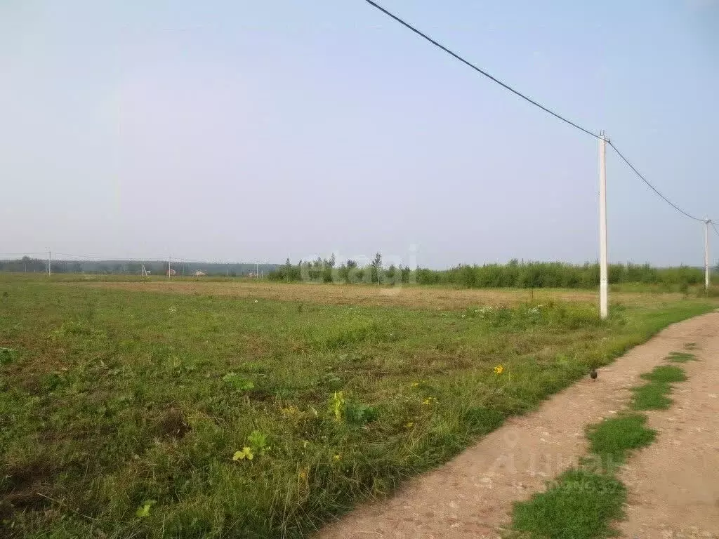 Участок в Московская область, Серпухов городской округ, д. Большое ... - Фото 0