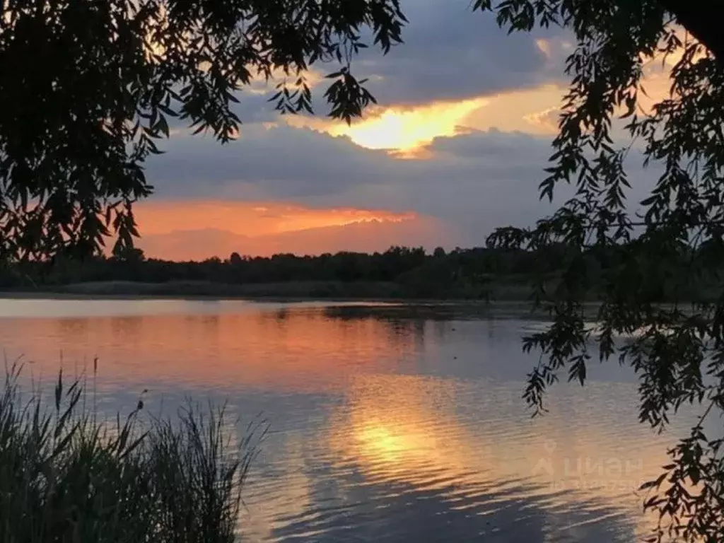 Участок в Тульская область, Ясногорский район, Иваньковское с/пос, д. ... - Фото 1