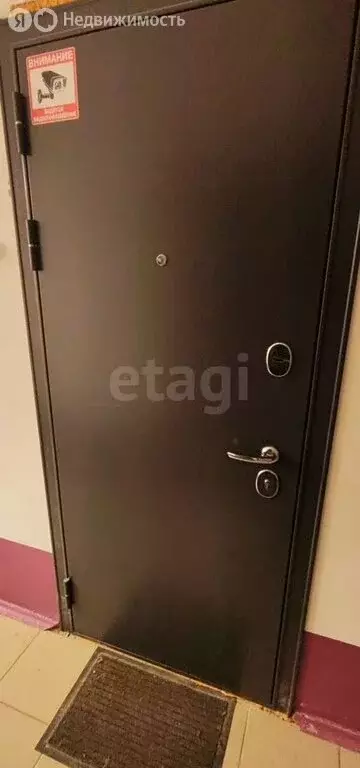 Квартира-студия: Челябинск, улица Профессора Благих, 63А (24 м) - Фото 2