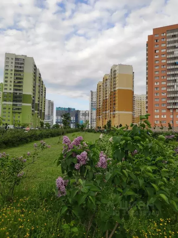 3-к кв. Санкт-Петербург дор. Муринская, 74к1 (78.0 м) - Фото 0