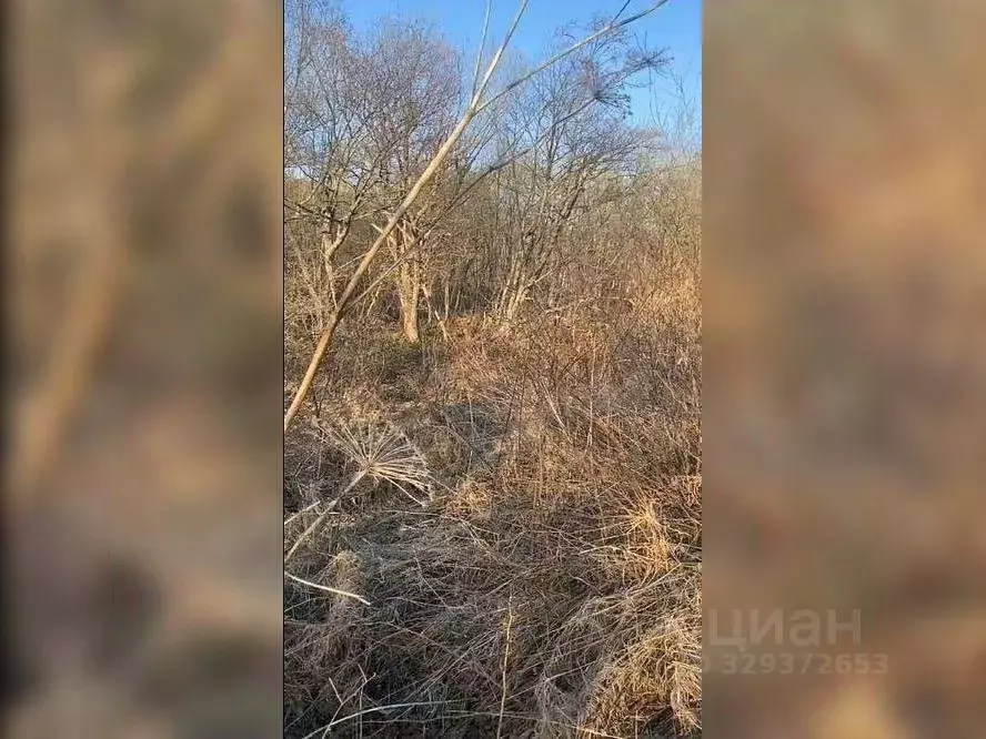 Участок в Сахалинская область, Южно-Сахалинск Коммунистический просп. ... - Фото 2