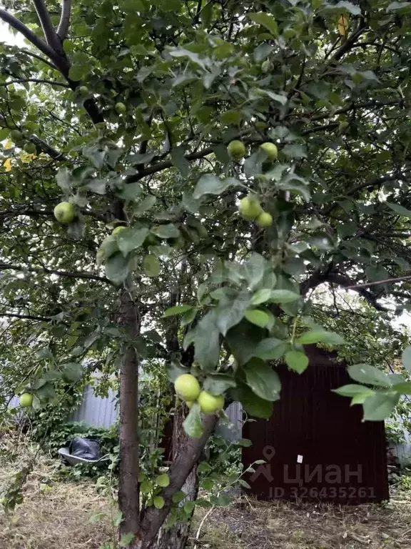 Дом в Челябинская область, Челябинск Локомотив-1 СНТ, ул. 7-я, 38 (15 ... - Фото 0