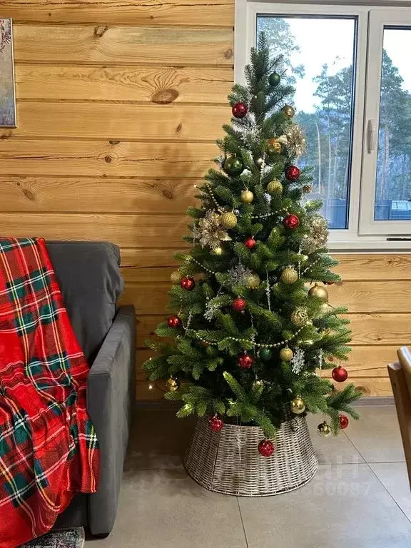 Дом в Алтай, Чемальский район, с. Чепош Родниковая ул., 44А (95 м) - Фото 2