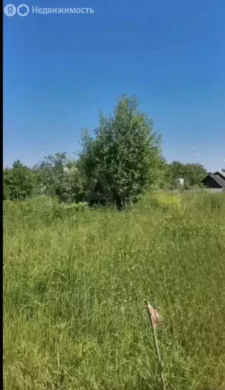 Участок в Ярославль, 1-я Краснохолмская улица, 16 (5.6 м) - Фото 1