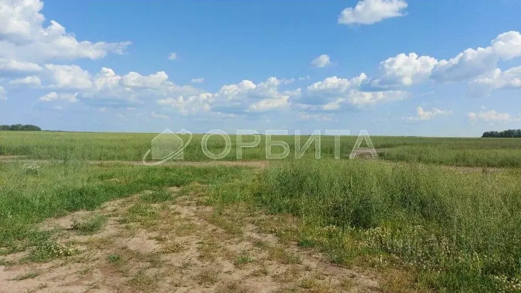 Участок в Тюменская область, Тюменский муниципальный округ, ... - Фото 1