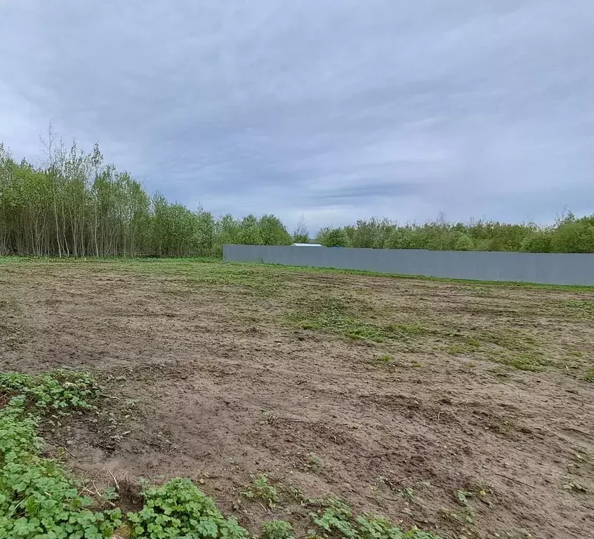 Участок в Московская область, Клин городской округ, д. Колосово ул. ... - Фото 1