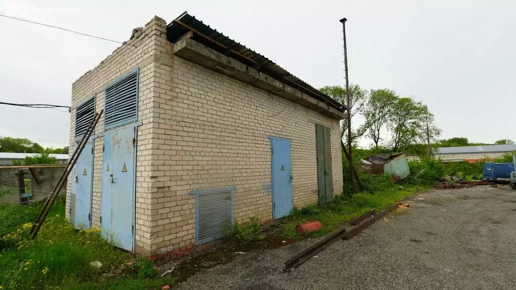 Помещение свободного назначения (550 м) - Фото 1