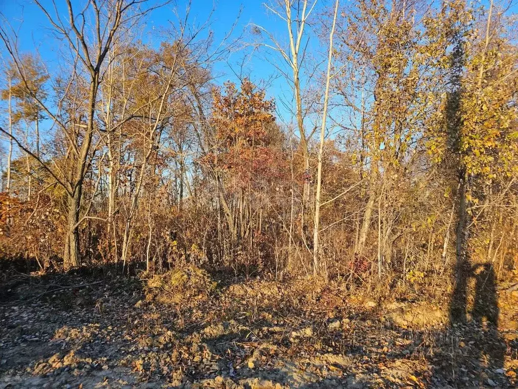 Участок в Хабаровский край, Хабаровский район, Тополевское с/пос, с. ... - Фото 1