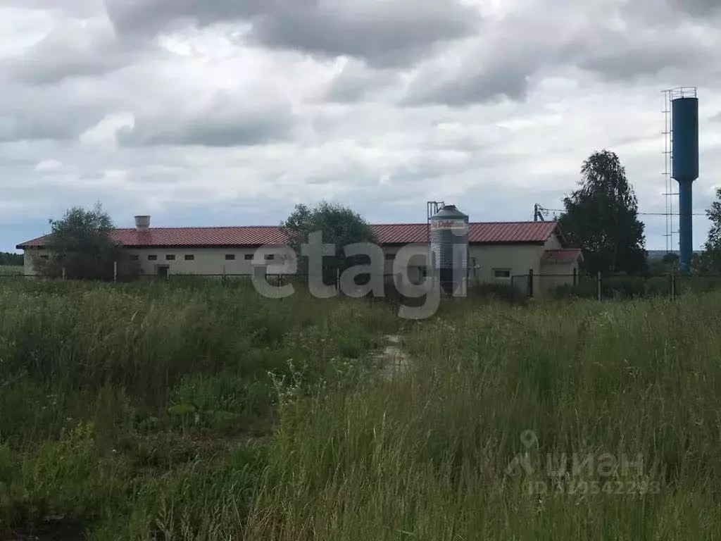 Склад в Калужская область, Козельский район, Деревня Плюсково с/пос, ... - Фото 2
