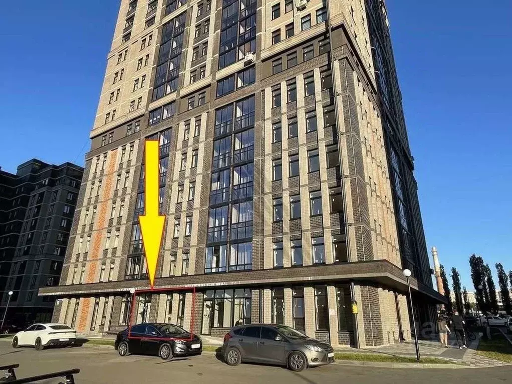 Торговая площадь в Воронежская область, Воронеж ул. Независимости, ... - Фото 2