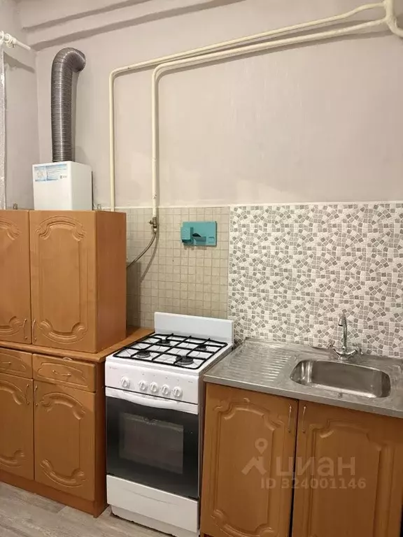 1-к кв. Московская область, Воскресенск городской округ, Хорлово пгт ... - Фото 2