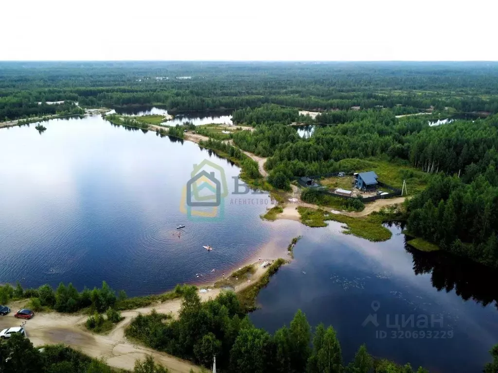 Участок в Ленинградская область, Всеволожский район, Рахьинское ... - Фото 0