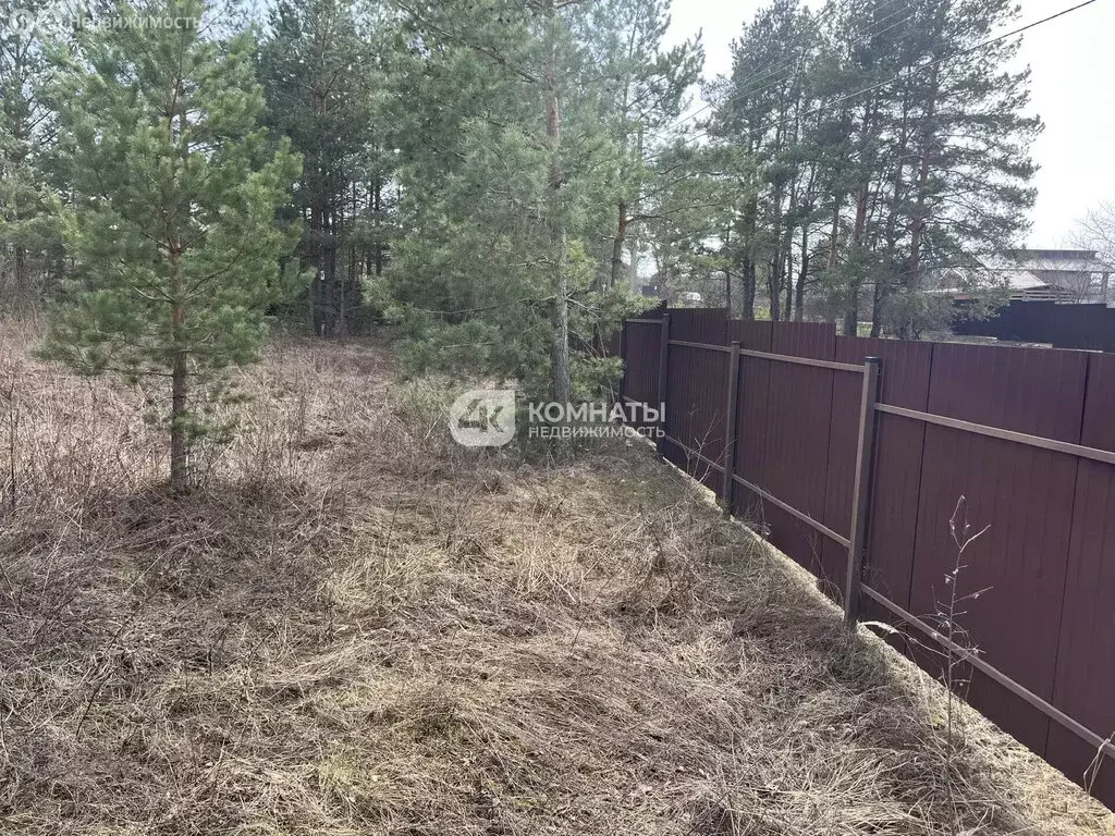 Участок в Рамонский район, Новоживотинновское сельское поселение, СНТ ... - Фото 2