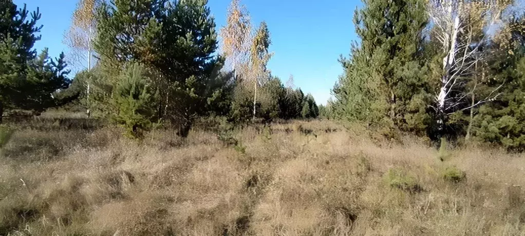 Участок в Челябинская область, Каслинский муниципальный округ, с. ... - Фото 2