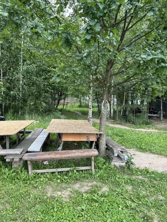 Участок 6 сот. (СНТ, ДНП) - Фото 1
