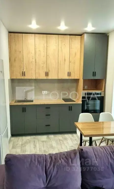 Студия Новосибирская область, Новосибирск ул. Гоголя, 222 (32.0 м) - Фото 1