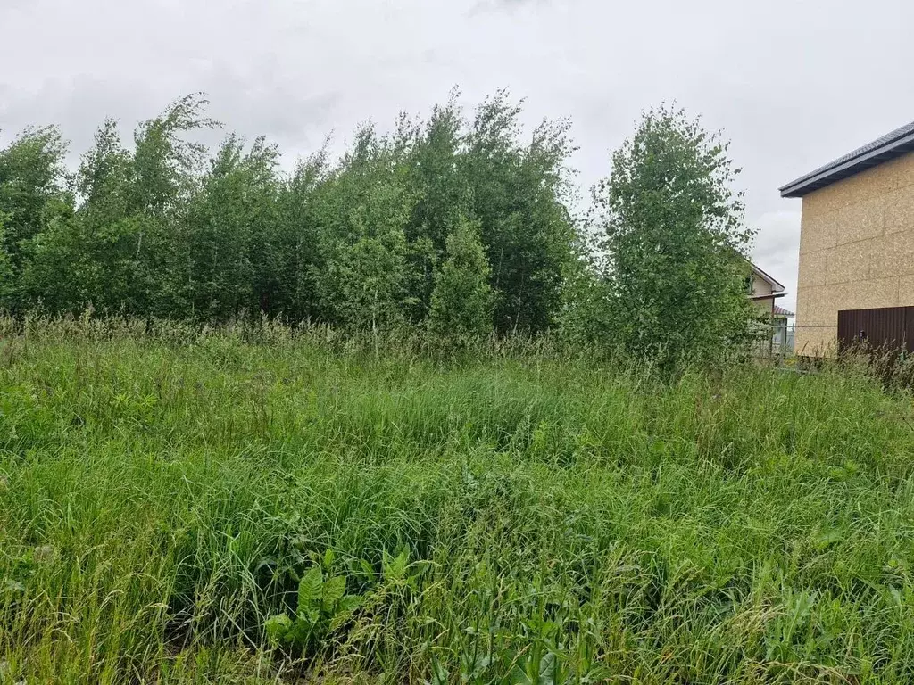 Участок в Московская область, Ступино городской округ, д. Дубнево  ... - Фото 2