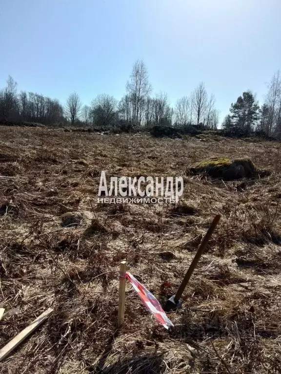 Участок в Ленинградская область, Выборгский район, Красносельское ... - Фото 0