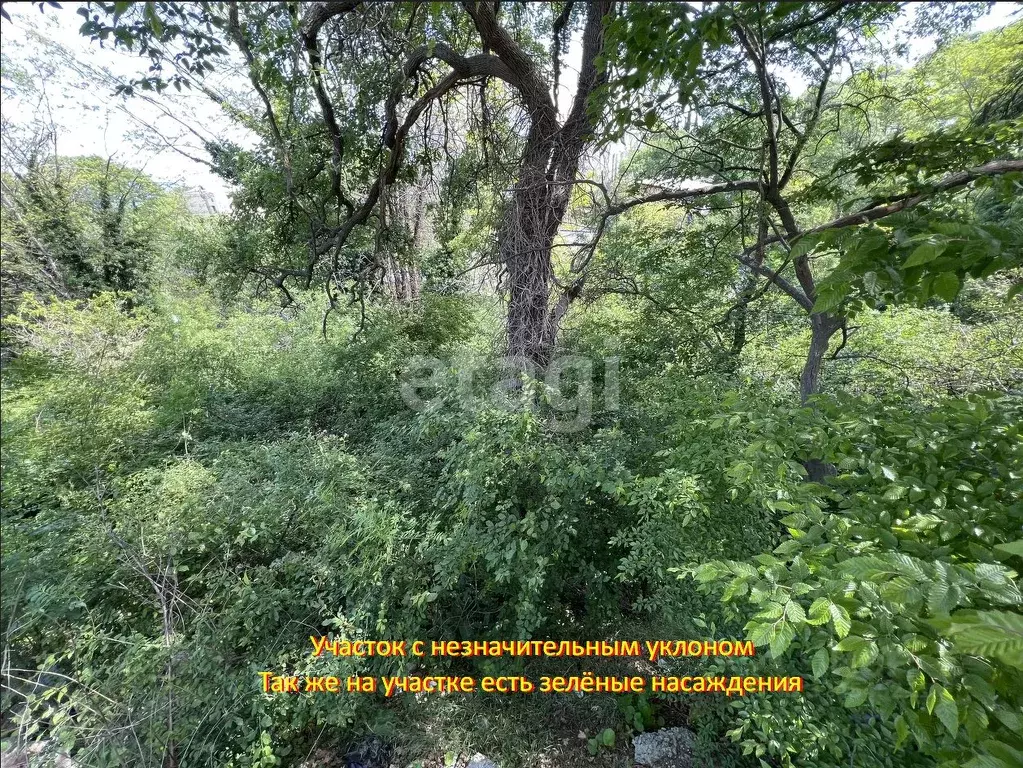 Участок в Крым, Ялта муниципальный округ, Ливадия пгт  (9.53 сот.) - Фото 1