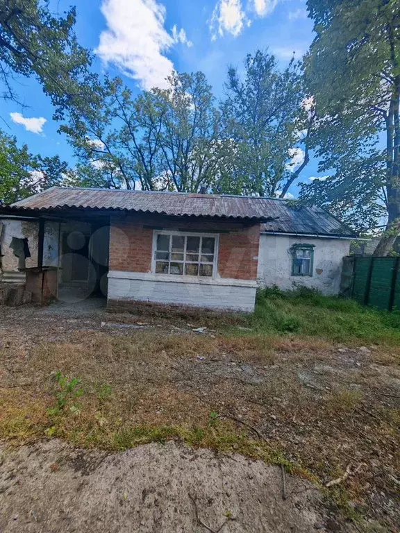 Дом 43,2 м на участке 36 сот. - Фото 0