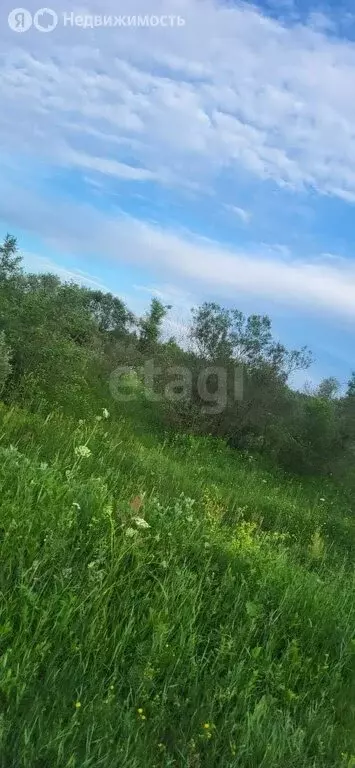 Участок в Тверь, деревня Красное Знамя (11 м) - Фото 0