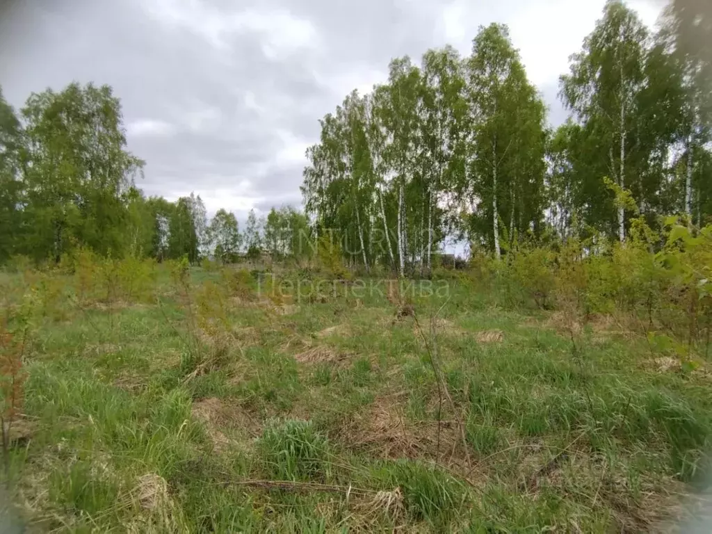 Участок в Московская область, Воскресенск городской округ, с. Михалево ... - Фото 0