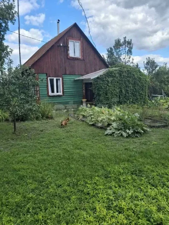Дом в Курганская область, Белозерский муниципальный округ, Рябинушка ... - Фото 1