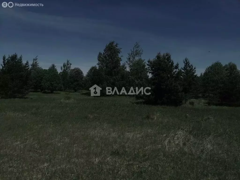 Участок в Нижегородская область, Сосновский муниципальный округ, ... - Фото 1