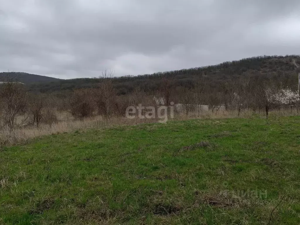 Участок в Краснодарский край, Новороссийск городской округ, ... - Фото 1