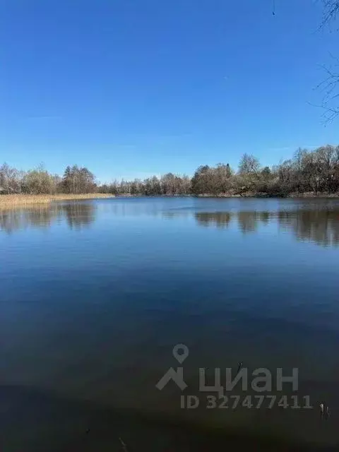 Участок в Московская область, Ступино городской округ, с. Вихорна  ... - Фото 1