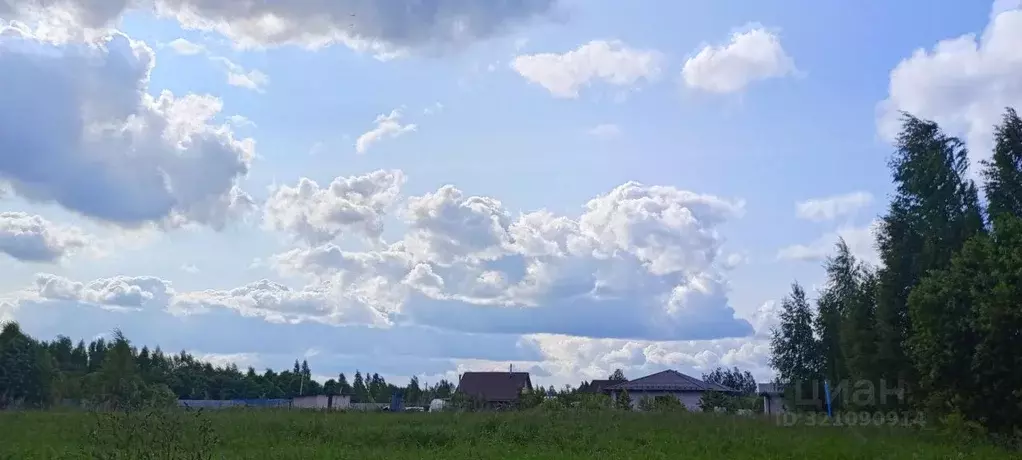 Участок в Новгородская область, Новгородский район, Ракомское с/пос  ... - Фото 2