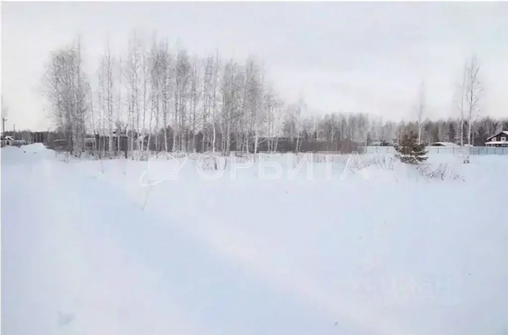 Участок в Тюменская область, Нижнетавдинский район, пос. Торгили ... - Фото 0
