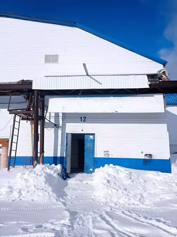 Помещение свободного назначения в Ханты-Мансийский АО, Сургут ул. ... - Фото 1