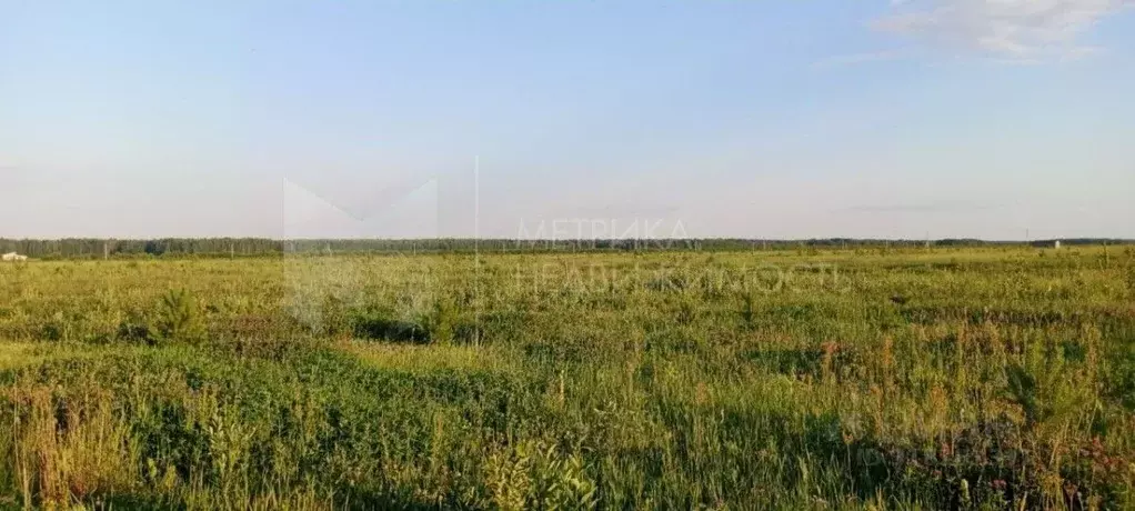 Участок в Тюменская область, Тюменский район, с. Кулига  (8.0 сот.) - Фото 0