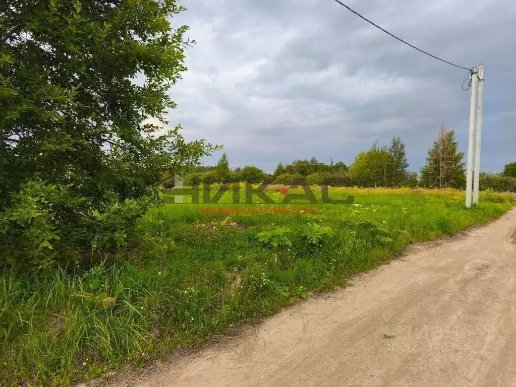 Участок в Ярославская область, Ярославский муниципальный округ, д. ... - Фото 1