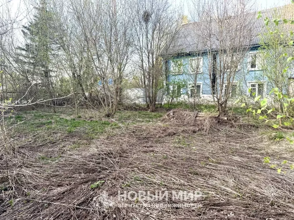 Участок в Нижегородская область, муниципальный округ Бор, село ... - Фото 2