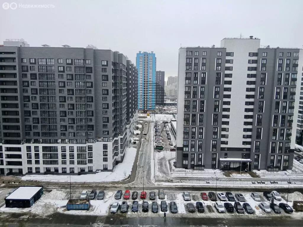 Квартира-студия: Мурино, Ручьёвский проспект, 1/24 (29.1 м) - Фото 2