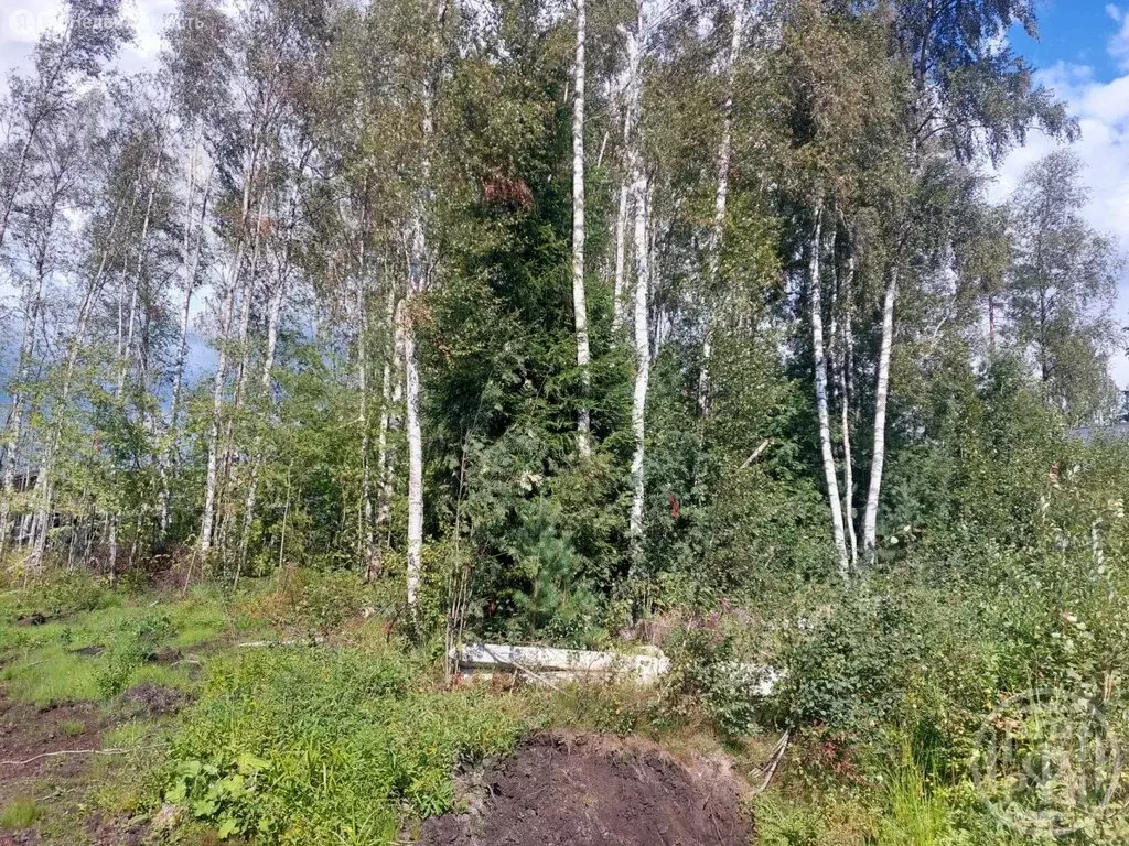 Участок в Сертоловское городское поселение, СНТ Заозёрное (12.2 м) - Фото 0
