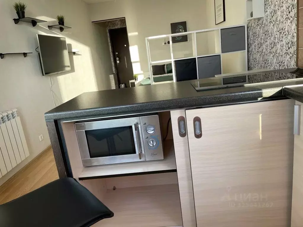 Студия Новосибирская область, Новосибирск Рябиновая ул., 10/1 (30.0 м) - Фото 2