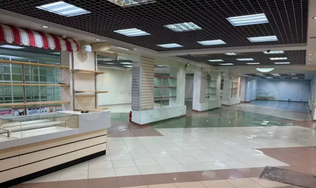 Сдам помещение свободного назначения, 600 м - Фото 1