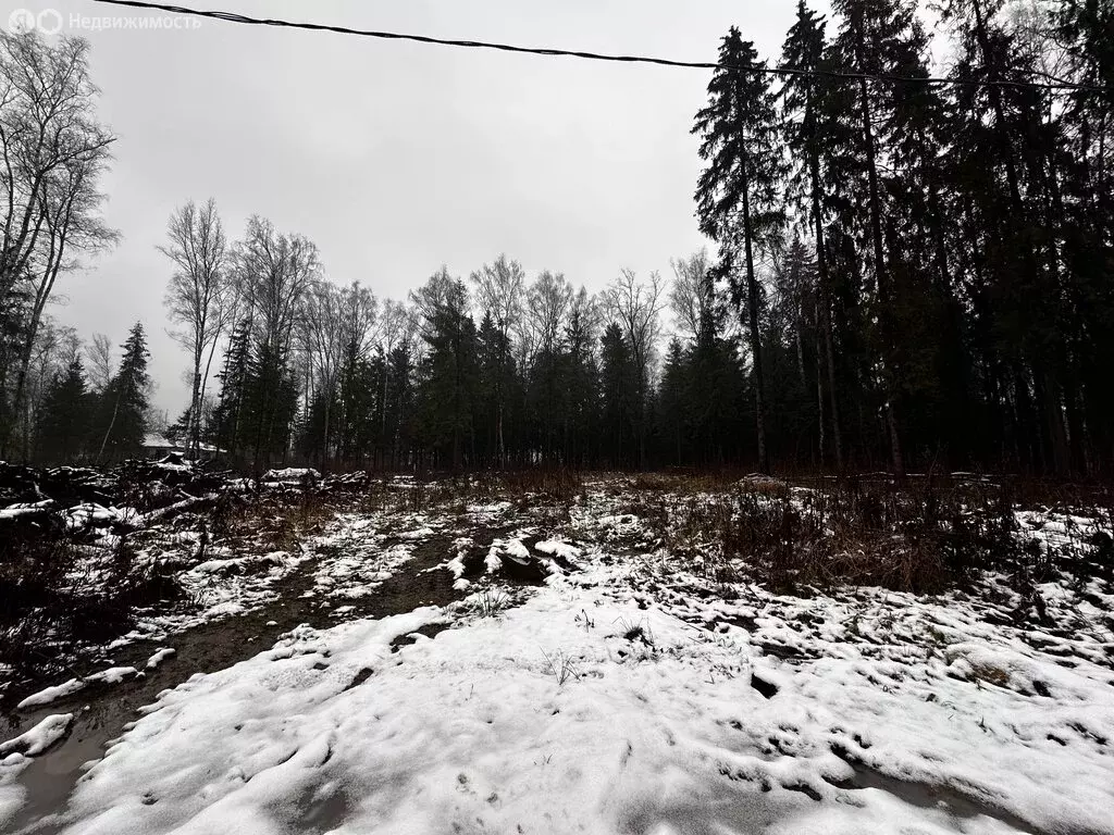 Участок в Московская область, Дмитровский муниципальный округ, посёлок ... - Фото 0