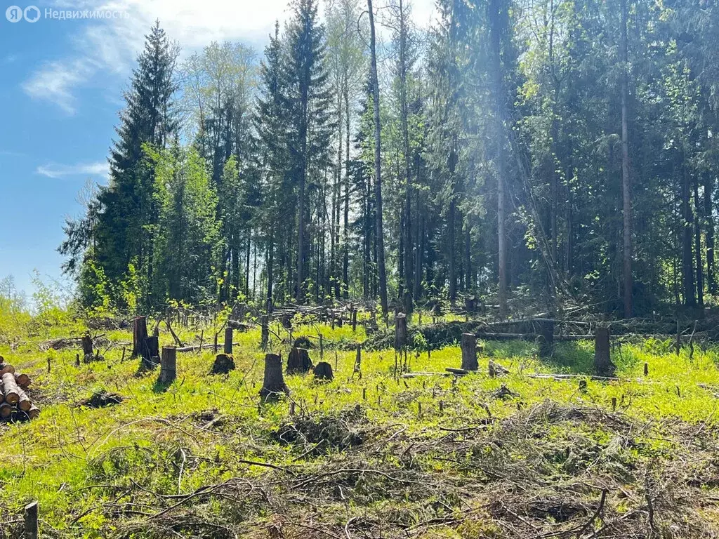 Участок в Березники, Семейная улица (14.85 м) - Фото 1