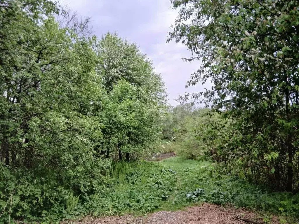 Участок в Ленинградская область, Волховский район, Пашское с/пос, д. ... - Фото 1