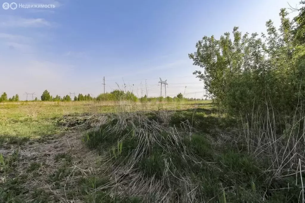 Участок в Тюменский район, село Борки (15 м) - Фото 0