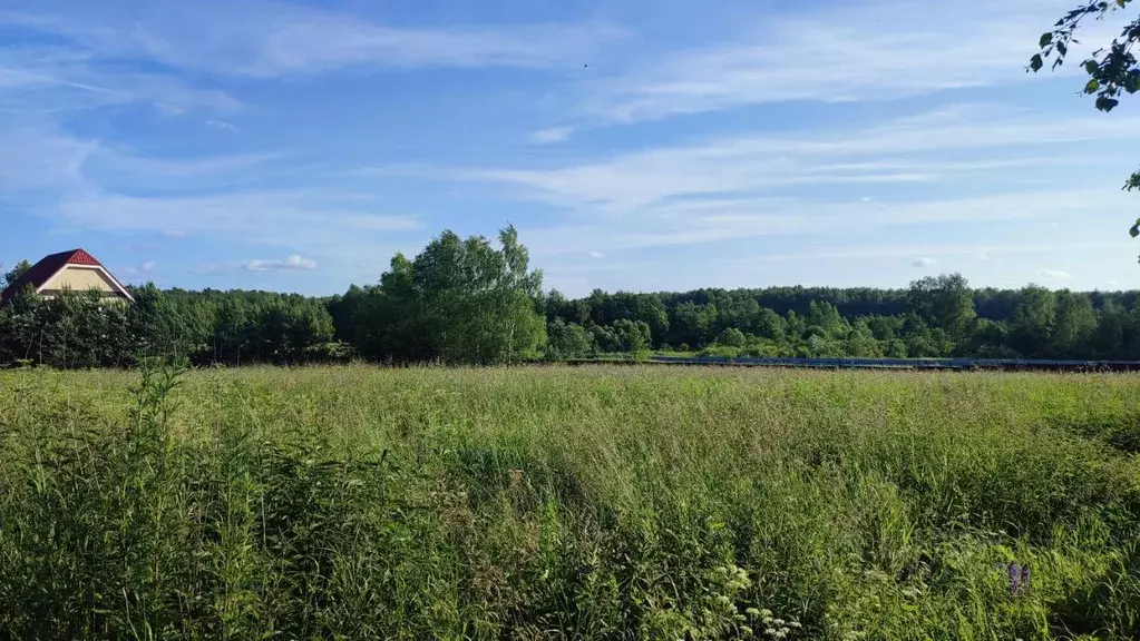 Участок в Владимирская область, Киржачский муниципальный округ, д. ... - Фото 1