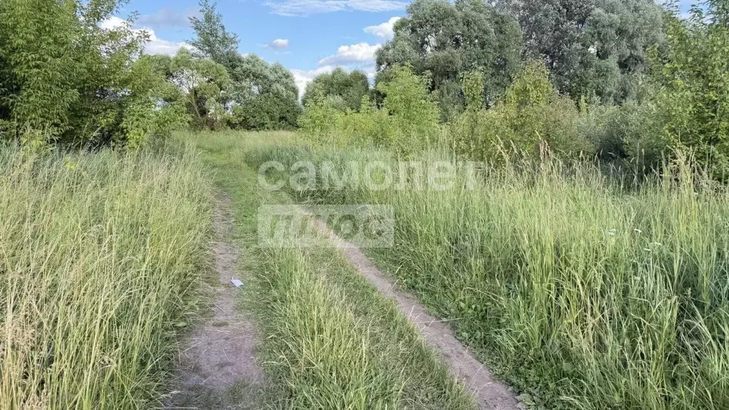 Участок в Курская область, Курск ул. Дубровинского (10.0 сот.) - Фото 2