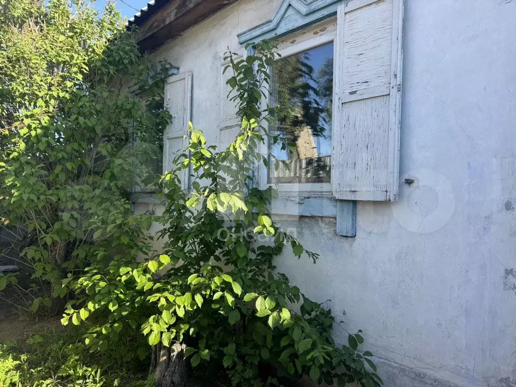 Дача 40 м на участке 5,05 га - Фото 0
