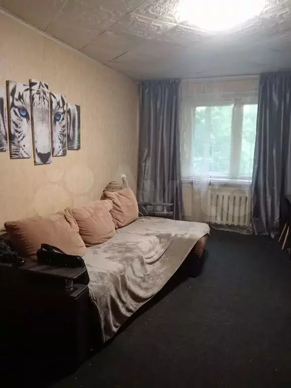 1-к. квартира, 31 м, 2/9 эт. - Фото 1