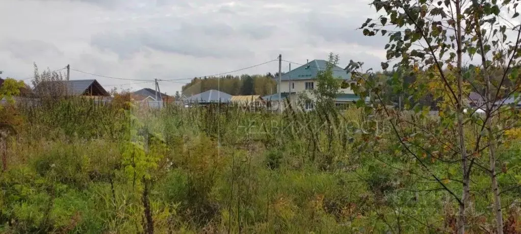 Участок в Тюменская область, Тюменский муниципальный округ, д. Ушакова ... - Фото 2